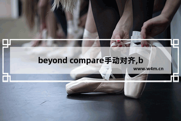 beyond compare手动对齐,beyond compare合并文本