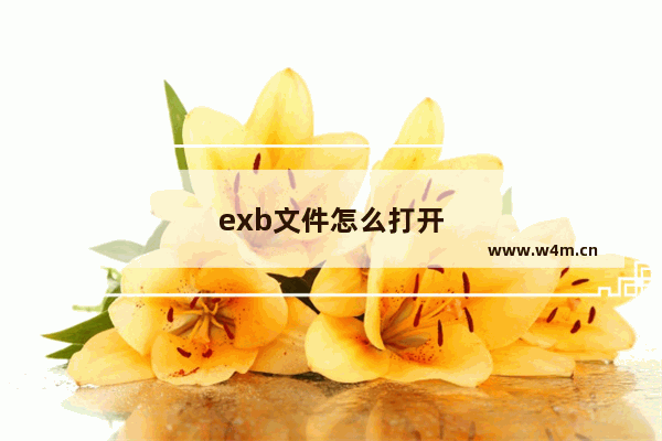 exb文件怎么打开