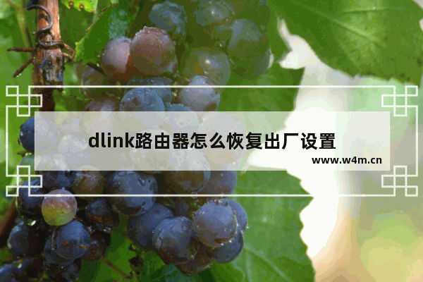 dlink路由器怎么恢复出厂设置