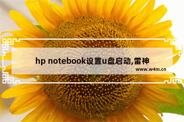 hp notebook设置u盘启动,雷神笔记本选择u盘启动