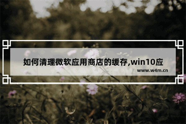 如何清理微软应用商店的缓存,win10应用商店占用大量内存_2