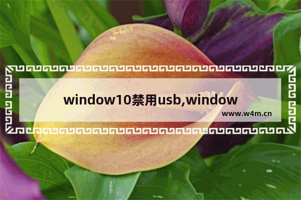 window10禁用usb,windows禁用usb接口