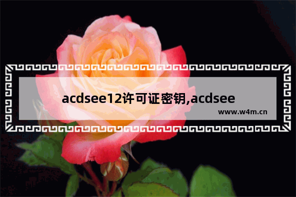 acdsee12许可证密钥,acdsee5.0.1许可证密钥