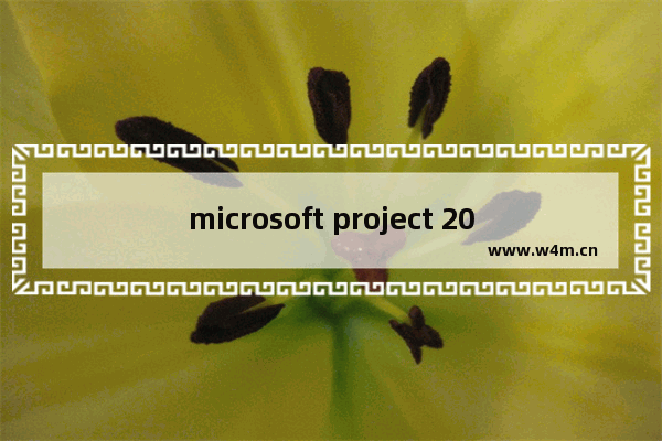 microsoft project 2010密钥,microsoft project2007密钥