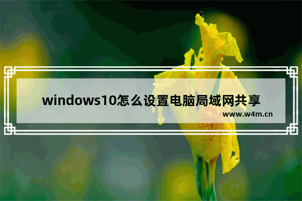 windows10怎么设置电脑局域网共享文件,win10文件局域网共享设置