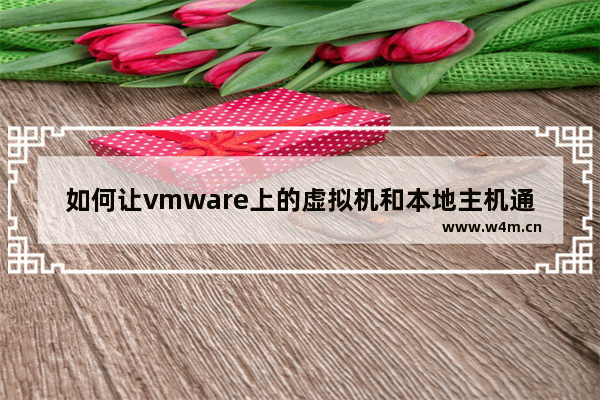 如何让vmware上的虚拟机和本地主机通信,vmware虚拟机连接网络设置