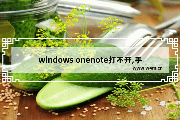 windows onenote打不开,手机onenote无法打开