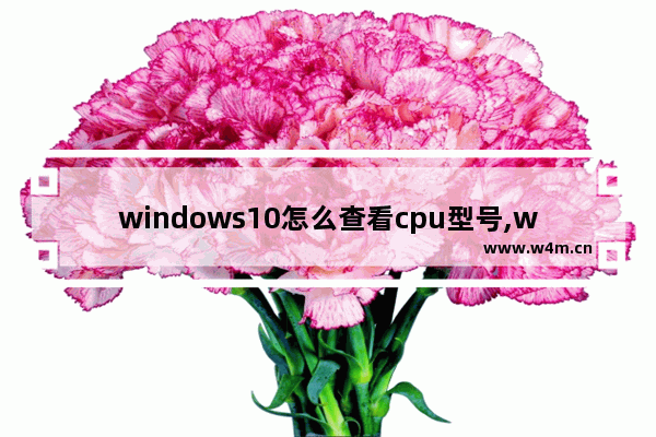 windows10怎么查看cpu型号,win10如何查看CPU