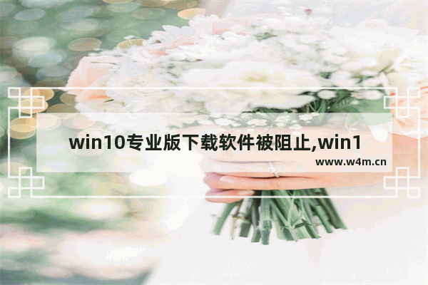 win10专业版下载软件被阻止,win10软件访问受限怎么解决