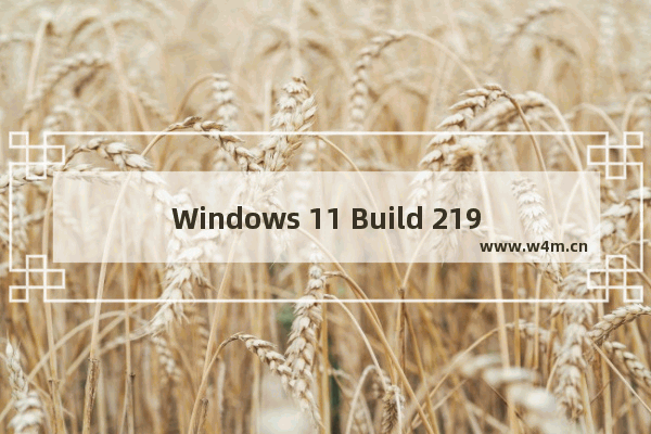 Windows 11 Build 21996,windows 10 build21390