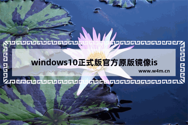 windows10正式版官方原版镜像iso下载地址,win10原版系统iso镜像下载