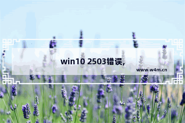 win10 2503错误,