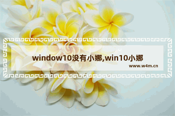 window10没有小娜,win10小娜不支持中国