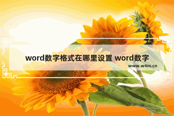 word数字格式在哪里设置 word数字格式设置的步骤