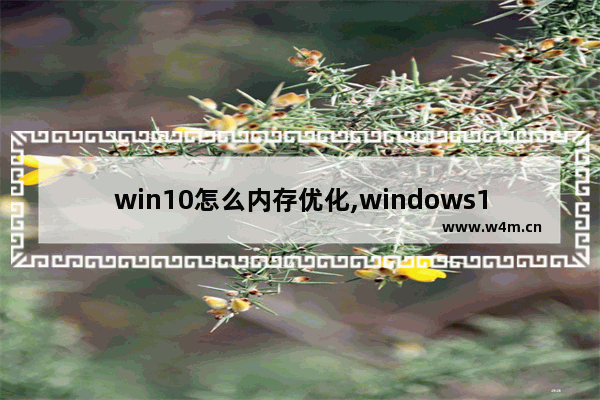 win10怎么内存优化,windows10内存优化