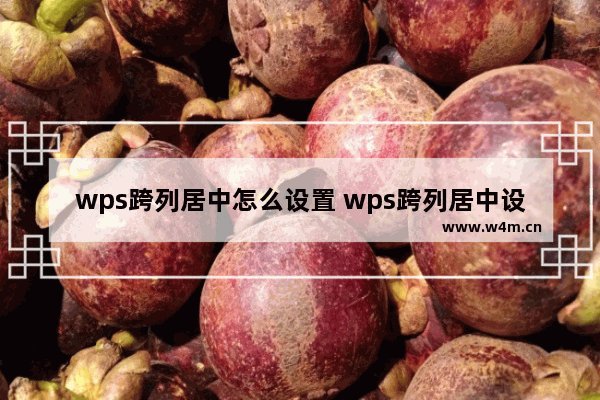 wps跨列居中怎么设置 wps跨列居中设置的步骤