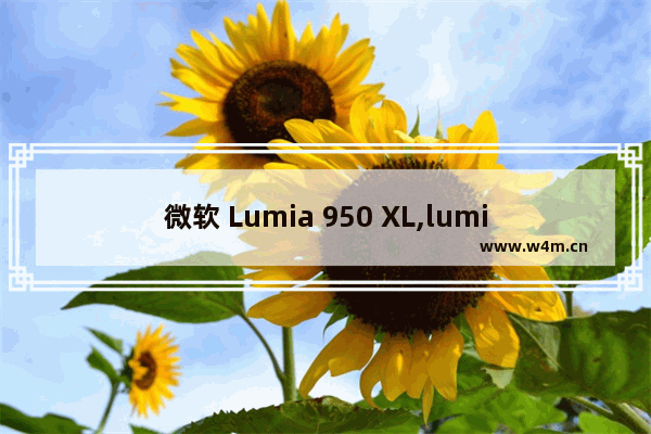 微软 Lumia 950 XL,lumia950xl刷win11