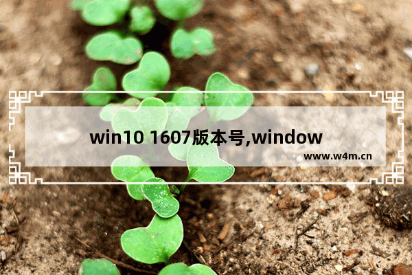 win10 1607版本号,windows10 1607升级