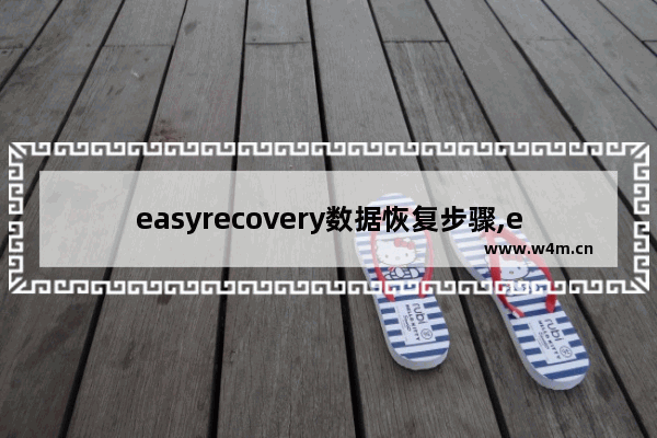 easyrecovery数据恢复步骤,easy recovery数据恢复