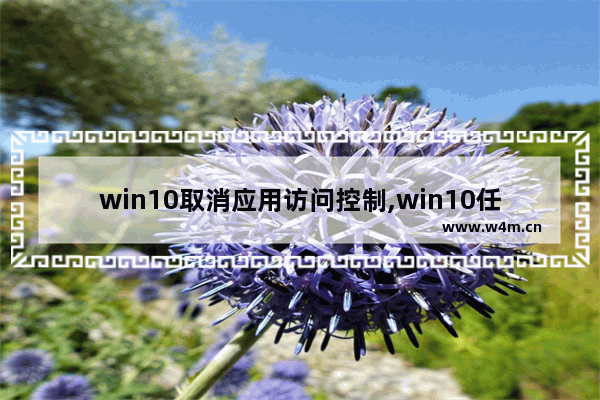 win10取消应用访问控制,win10任务管理器拒绝访问