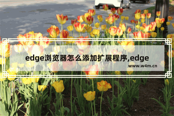 edge浏览器怎么添加扩展程序,edge扩展怎么用