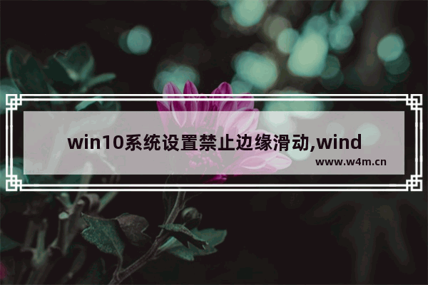 win10系统设置禁止边缘滑动,windows10滑动关机