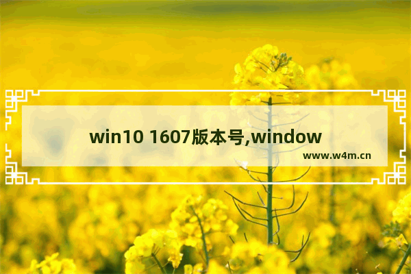 win10 1607版本号,windows10 1607升级