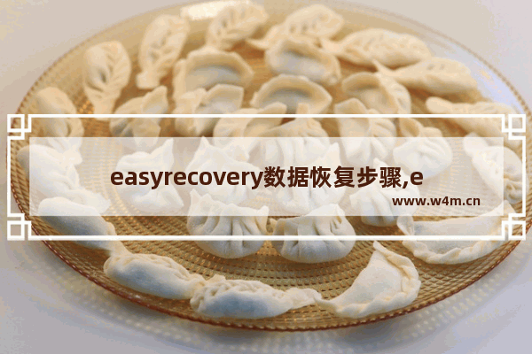 easyrecovery数据恢复步骤,easy recovery数据恢复