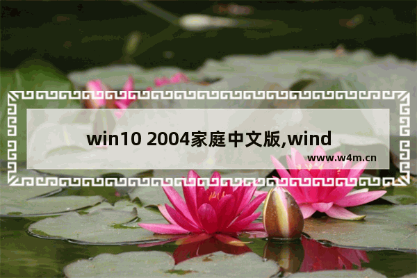 win10 2004家庭中文版,window10家庭中文版2004