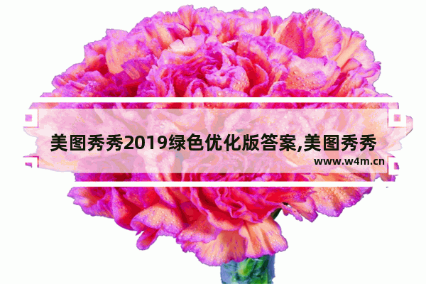 美图秀秀2019绿色优化版答案,美图秀秀2019绿色优化版怎么设置