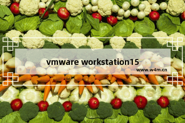 vmware workstation15.5许可证密钥,vmware workstation14许可证密钥