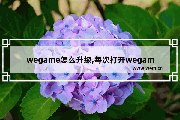 wegame怎么升级,每次打开wegame都要升级