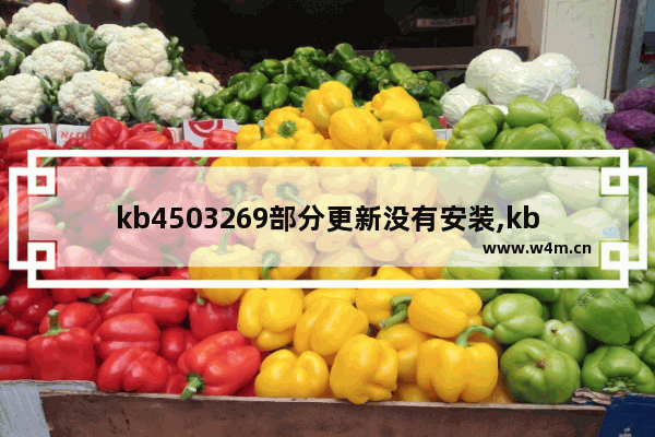 kb4503269部分更新没有安装,kb4474419补丁不兼容