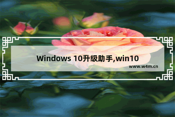 Windows 10升级助手,win10官方升级助手