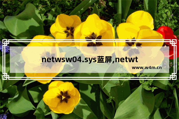 netwsw04.sys蓝屏,netwtw10.sys 蓝屏