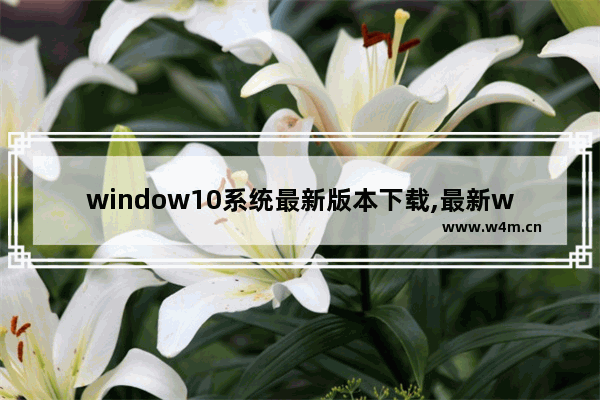 window10系统最新版本下载,最新windows10系统下载