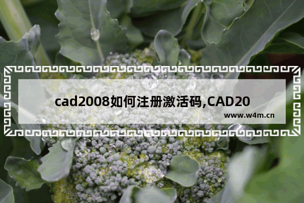 cad2008如何注册激活码,CAD2007注册激活