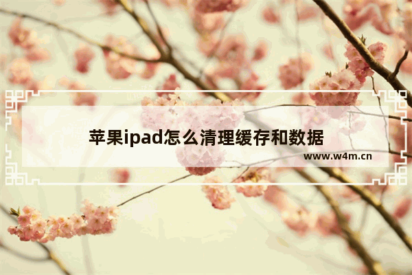 苹果ipad怎么清理缓存和数据