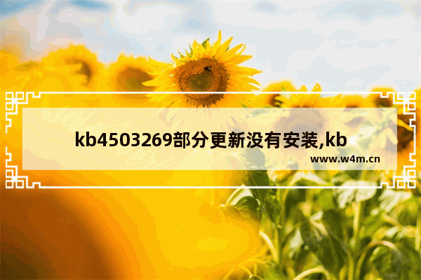 kb4503269部分更新没有安装,kb4474419补丁不兼容