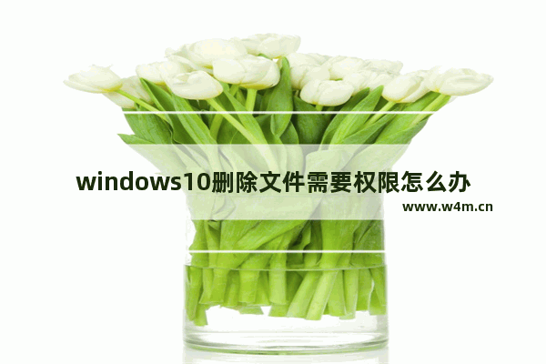 windows10删除文件需要权限怎么办,win10文件夹删不掉需要权限怎么回事