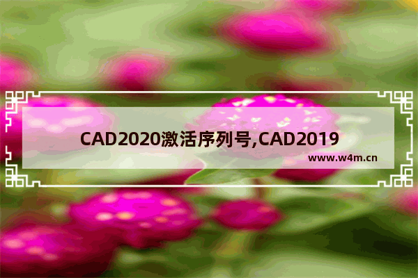 CAD2020激活序列号,CAD2019激活序列号