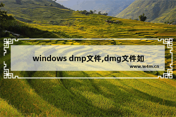 windows dmp文件,dmg文件如何在windows10打开