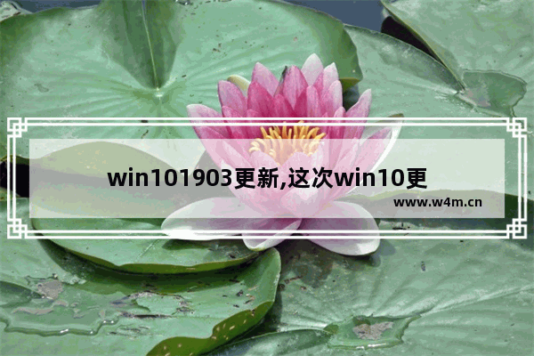 win101903更新,这次win10更新