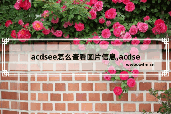 acdsee怎么查看图片信息,acdsee看图软件使用