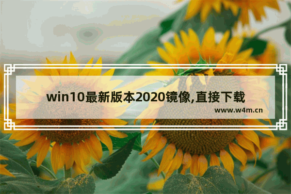 win10最新版本2020镜像,直接下载win10镜像并安装