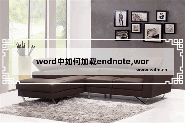 word中如何加载endnote,word中endnote加载项