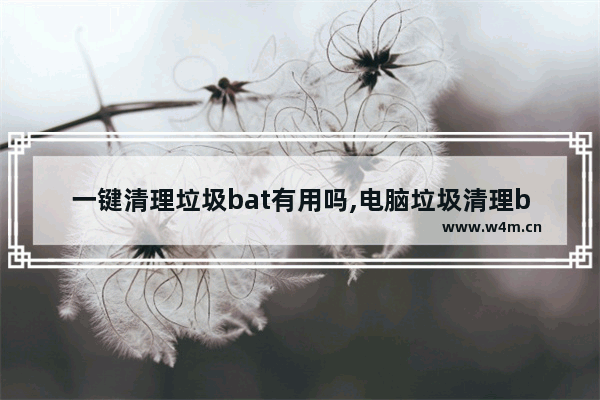 一键清理垃圾bat有用吗,电脑垃圾清理bat