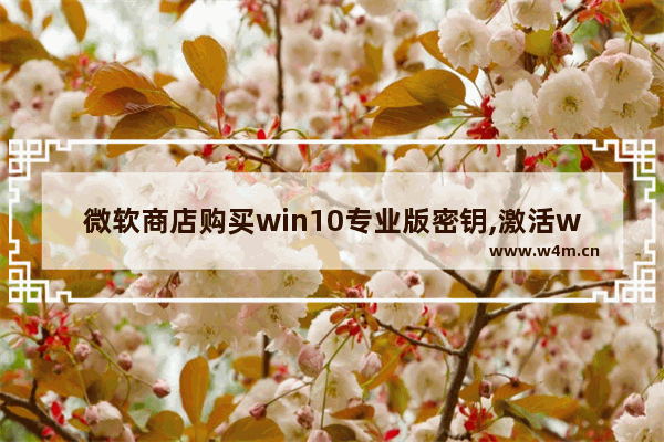 微软商店购买win10专业版密钥,激活windows10密钥在哪里购买