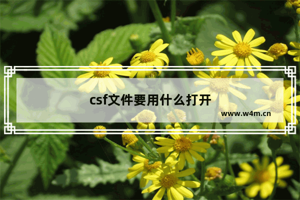 csf文件要用什么打开