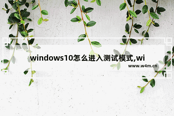 windows10怎么进入测试模式,win10测试模式打不开